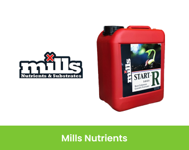 home-page-product-img