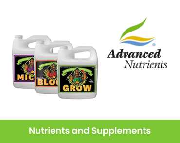 home-page-product-img