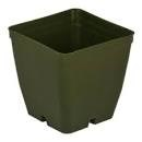MCConkey 2.75" Square Pot