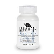 Mammoth - Silica 250ml