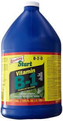 Liquinox Start Vitamin B1 GAL