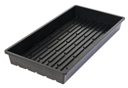 ISH Quad Thick Cut Tray 10 20