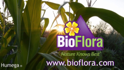 Bio Flora Fulmega 1% Mg OMRI 5 gallon