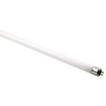 Spectralux T5 24 Watt HO Lamp 2 ft Blue 6500K (25/Cs)