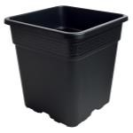 Gro Pro Black Square Pot 2 Gallon, 9'' H.24