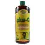 Microbe Life Photosynthesis Plus Quart