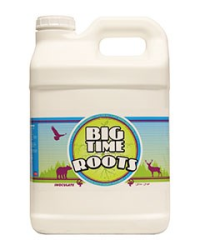 Big Time Rinse, 2.5 gal