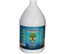 Sea Green HYDRO 1 GAL