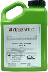 Venerate CG - 1 gal