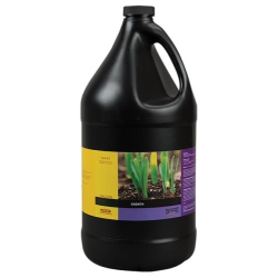 B'Cuzz Growth 20L