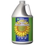 GH KoolBloom Liquid 1gal
