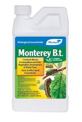 Monterey B.t., 1 qt