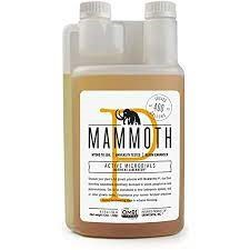 Mammoth P-250