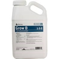 Athena Grow B 1 Gal