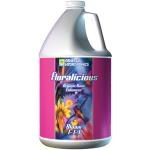 GH Floralicious Bloom Gallon