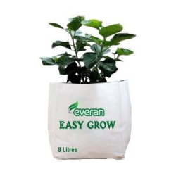 Everan Easy Grow Bag 1 gal - 20/box