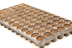 PLUG TRAY 72 CELL WRAPPED 70/30